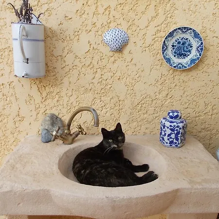 Bed & Breakfast D'hotes La Vandolive