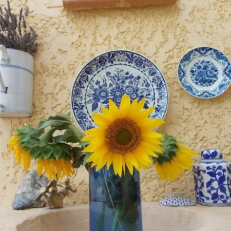 D'hotes La Vandolive Valensole